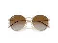 Ray-Ban Round Reverse Solbriller RB R0103S 001/CB