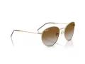 Ray-Ban Round Reverse Solbriller RB R0103S 001/CB