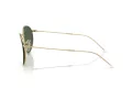 Ray-Ban Round Reverse Solbriller RB R0103S 001/VR