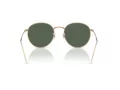 Ray-Ban Round Reverse Solbriller RB R0103S 001/VR