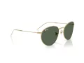 Ray-Ban Round Reverse Solbriller RB R0103S 001/VR