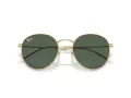 Ray-Ban Round Reverse Solbriller RB R0103S 001/VR