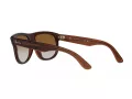 Ray-Ban Boyfriend Reverse Solbriller RB R0501S 6709CB