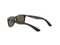 Ray-Ban Solbriller RJ 9062S 7013/55
