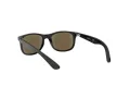 Ray-Ban Solbriller RJ 9062S 7013/55