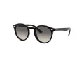 Ray-Ban Solbriller RJ 9064S 100/11