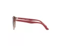 Ray-Ban Solbriller RJ 9064S 7123/13