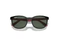 Ray-Ban Solbriller RJ 9079S 713171