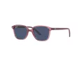 Ray-Ban Leonard Jr Solbriller RJ 9093S 7112/80
