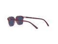 Ray-Ban Leonard Jr Solbriller RJ 9093S 7112/80