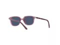 Ray-Ban Leonard Jr Solbriller RJ 9093S 7112/80