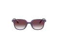 Ray-Ban Junior Leonard Solbriller 9093S 713136