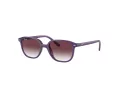 Ray-Ban Junior Leonard Solbriller 9093S 713136