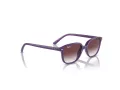 Ray-Ban Junior Leonard Solbriller 9093S 713136