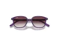Ray-Ban Junior Leonard Solbriller 9093S 713136