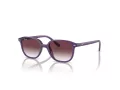 Ray-Ban Junior Leonard Solbriller 9093S 713136