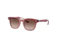 Ray-Ban Solbriller RJ 9098S 715413