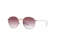 Ray-Ban Junior Rob Solbriller RJ 9572S 291/8H