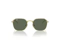Ray-Ban Solbriller RJ 9594S 223/71