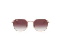 Ray-Ban Solbriller RJ 9594S 291/8H