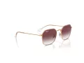 Ray-Ban Solbriller RJ 9594S 291/8H