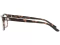 Ralph Lauren Briller RL 6169 5655