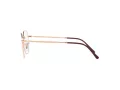 Ray-Ban Jim Briller RX 3694V 3094