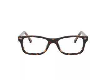 Ray-Ban Briller RX 5228 2012