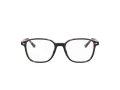 Ray-Ban Leonard Briller RX 5393 2012