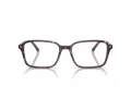 Ray-Ban Raimond Briller RX 5431 8393