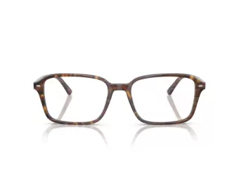 Ray-Ban Raimond Briller RX 5431 8395