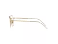 Ray-Ban Jack Briller RX 6465 3137