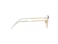 Ray-Ban Jack Briller RX 6465 3137