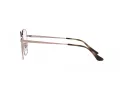Ray-Ban Briller RX 6490D 2943
