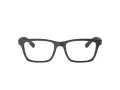Ray-Ban Briller RX 7025 2077