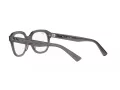 Ray-Ban Erik Briller RX 7215 8257