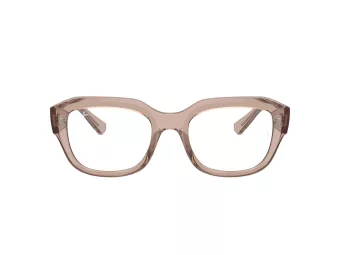 Ray-Ban Leonid Briller RX 0RX7225 8317