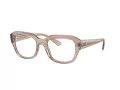 Ray-Ban Leonid Briller RX 0RX7225 8317