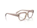 Ray-Ban Leonid Briller RX 0RX7225 8317