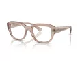 Ray-Ban Leonid Briller RX 0RX7225 8317