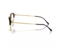 Ray-Ban Briller RX 0RX7229 2012