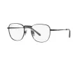 Ray-Ban Frank Titanium Briller RX 8258V 1237