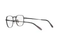 Ray-Ban Frank Titanium Briller RX 8258V 1237