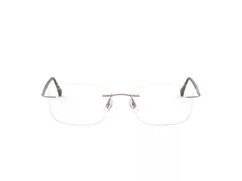 Ray-Ban Briller RX 8725 1131