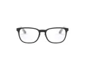 Ray-Ban Briller RY 1592 3529