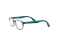 Ray-Ban Briller RY 1599 3842