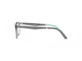 Ray-Ban Briller RY 1614D 3908