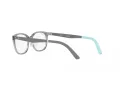 Ray-Ban Briller RY 1614D 3908