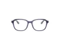 Ray-Ban Briller RY 1627 3945