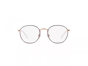 Ray-Ban Junior Rob Briller RY 9572V 4087